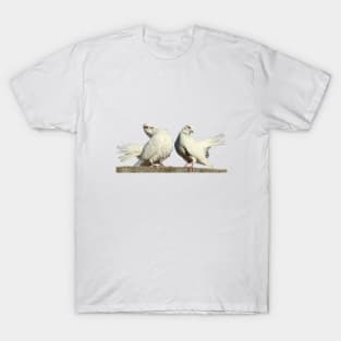Couple of Withe Doves Birds Dating T-Shirt